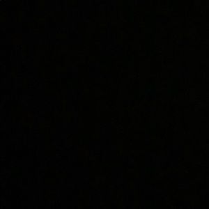 Meet your Posher, Stormie